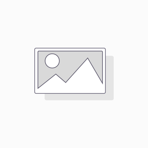 Plato Almuerzo (Res)